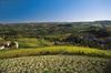 hills